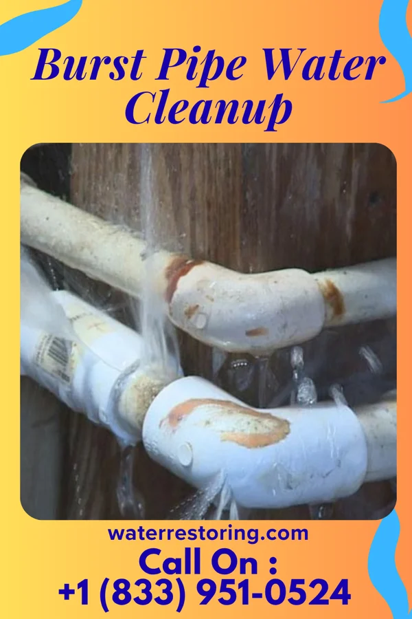 Burst Pipe Water Cleanup in Beach City, OH