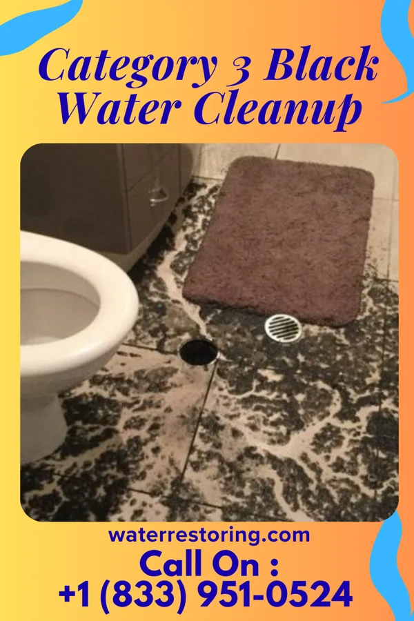 Category 3 Black Water Cleanup in Beach City, OH