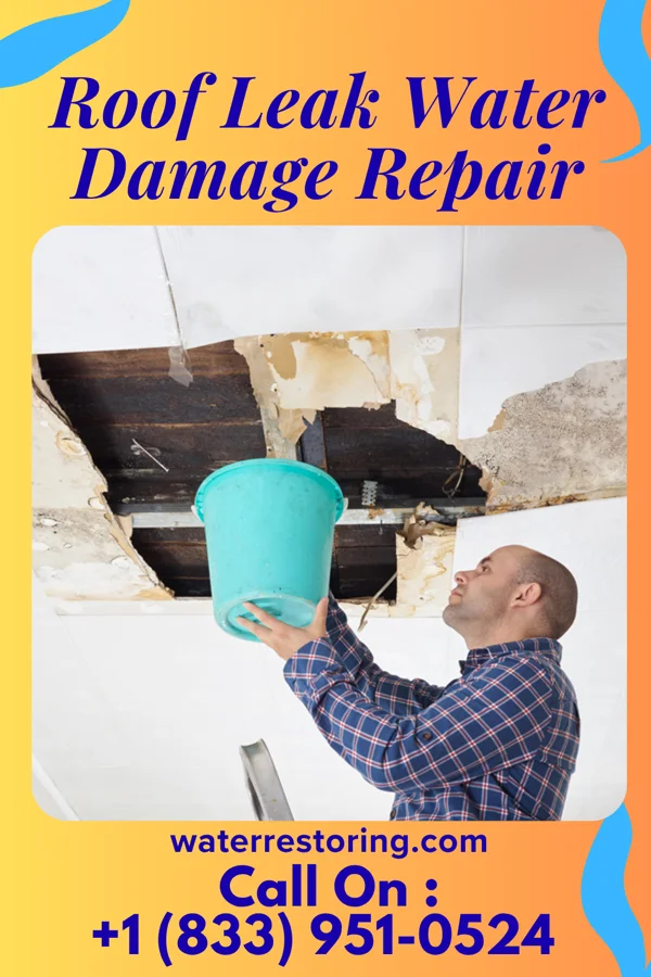 Roof Leak Water Damage Repair in Beach City, OH