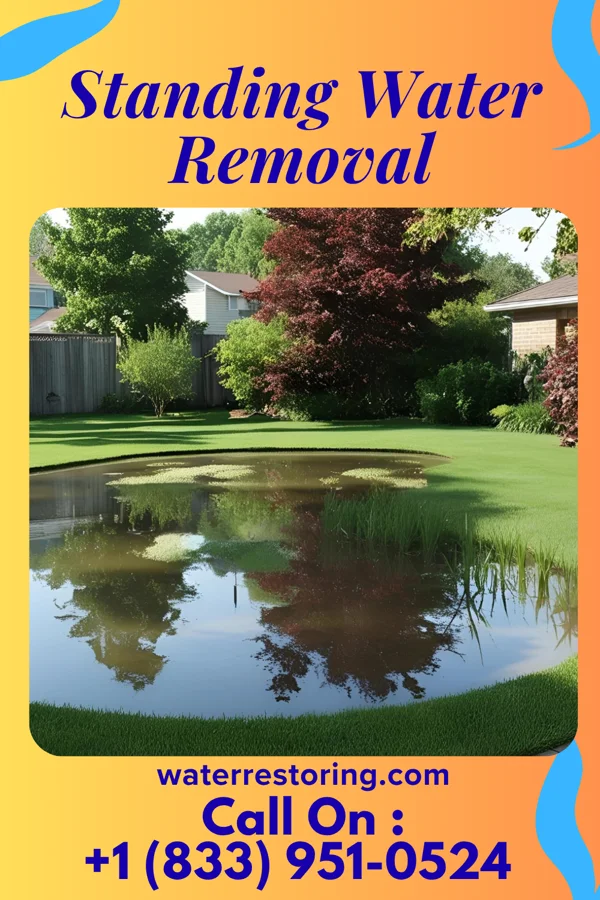 Standing Water Removal in Beach City, OH
